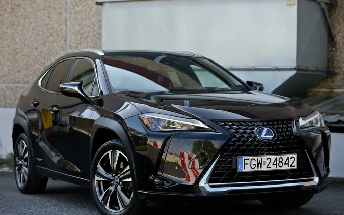 lubuskie Lexus UX cena 115500 przebieg: 66098, rok produkcji 2019 z Bierutów